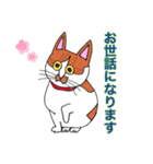 保護猫タマと仲間たち（個別スタンプ：27）