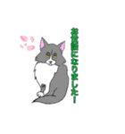 保護猫タマと仲間たち（個別スタンプ：28）
