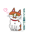 保護猫タマと仲間たち（個別スタンプ：29）