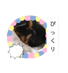 うめちゃん砕けた日常言葉＆ほんのり毒舌（個別スタンプ：1）