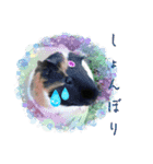 うめちゃん砕けた日常言葉＆ほんのり毒舌（個別スタンプ：3）