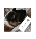 うめちゃん砕けた日常言葉＆ほんのり毒舌（個別スタンプ：4）