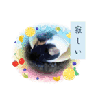 うめちゃん砕けた日常言葉＆ほんのり毒舌（個別スタンプ：5）