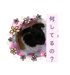 うめちゃん砕けた日常言葉＆ほんのり毒舌（個別スタンプ：6）