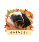 うめちゃん砕けた日常言葉＆ほんのり毒舌（個別スタンプ：7）