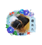 うめちゃん砕けた日常言葉＆ほんのり毒舌（個別スタンプ：10）