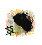 うめちゃん砕けた日常言葉＆ほんのり毒舌（個別スタンプ：11）