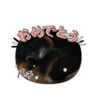 うめちゃん砕けた日常言葉＆ほんのり毒舌（個別スタンプ：13）