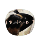 うめちゃん砕けた日常言葉＆ほんのり毒舌（個別スタンプ：14）