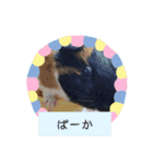 うめちゃん砕けた日常言葉＆ほんのり毒舌（個別スタンプ：15）