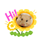 はむきち①（個別スタンプ：1）