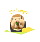 はむきち①（個別スタンプ：6）