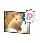 はむきち①（個別スタンプ：9）