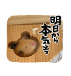 はむきち①（個別スタンプ：10）