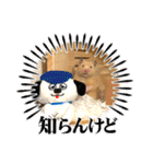 はむきち①（個別スタンプ：17）