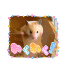 はむきち①（個別スタンプ：18）