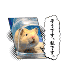 はむきち①（個別スタンプ：19）