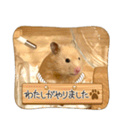 はむきち①（個別スタンプ：20）