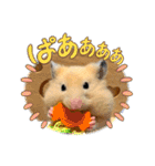 はむきち①（個別スタンプ：23）