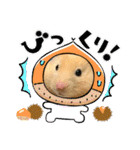 はむきち①（個別スタンプ：32）