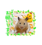 はむきち①（個別スタンプ：34）