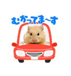 はむきち①（個別スタンプ：38）