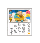 はむきち①（個別スタンプ：40）