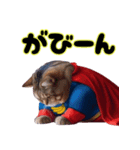 でぶ猫スーパーヒーロー参上【バナナlove】（個別スタンプ：9）