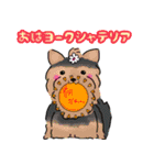 みぃぽんまねき 可愛いダジャレ・スタンプ（個別スタンプ：1）