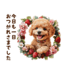 あると助かる！トイプードルの敬語あいさつ（個別スタンプ：8）