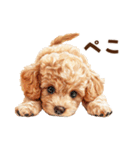 あると助かる！トイプードルの敬語あいさつ（個別スタンプ：26）