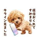 あると助かる！トイプードルの敬語あいさつ（個別スタンプ：34）
