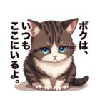 キジ白から飼い主しゃんへ♡（個別スタンプ：10）