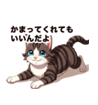 キジ白から飼い主しゃんへ♡（個別スタンプ：13）