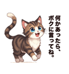 キジ白から飼い主しゃんへ♡（個別スタンプ：15）