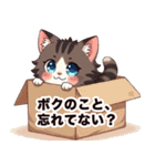 キジ白から飼い主しゃんへ♡（個別スタンプ：24）