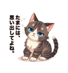 キジ白から飼い主しゃんへ♡（個別スタンプ：34）