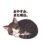 キジ白から飼い主しゃんへ♡（個別スタンプ：39）