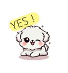 白い犬（文字入り）（個別スタンプ：4）