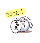 白い犬（文字入り）（個別スタンプ：14）