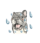 【リアクション上手】毎日使えるフレブル（個別スタンプ：12）
