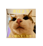 みるく師匠（個別スタンプ：1）