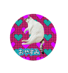 みるく師匠（個別スタンプ：10）