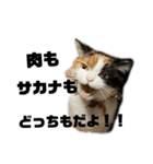 三毛ねこ「うなちゃん」のご飯（個別スタンプ：6）
