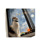 三毛ねこ「うなちゃん」のご飯（個別スタンプ：19）