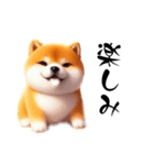毎日使える柴犬の日常会話スタンプ（個別スタンプ：3）