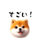 毎日使える柴犬の日常会話スタンプ（個別スタンプ：14）