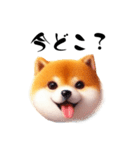 毎日使える柴犬の日常会話スタンプ（個別スタンプ：16）