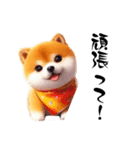 毎日使える柴犬の日常会話スタンプ（個別スタンプ：17）