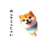 毎日使える柴犬の日常会話スタンプ（個別スタンプ：19）
